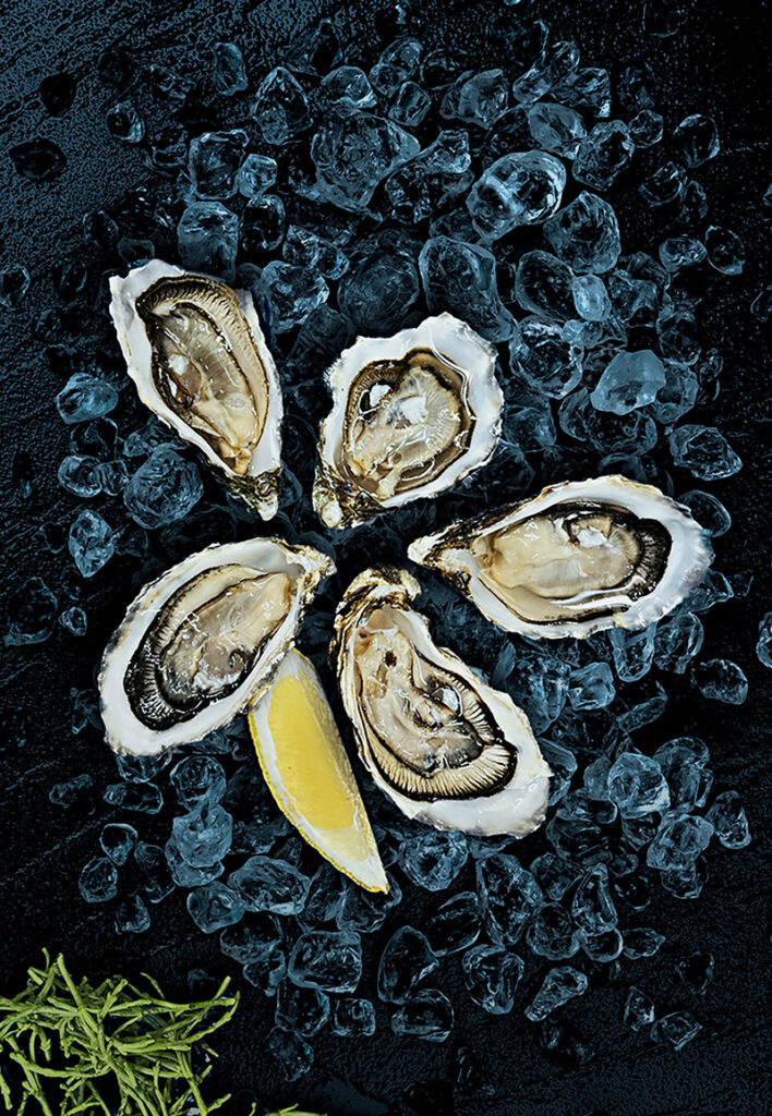 Verse oesters kopen bij Best Catch